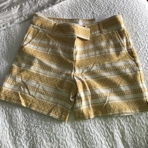 Ann Taylor Loft Riviera Shorts