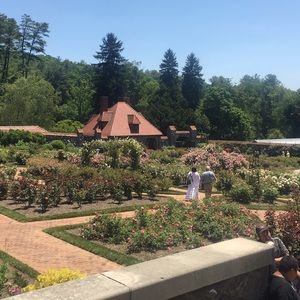 Meet your Posher, Esther