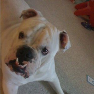 Meet your Posher, Sherry