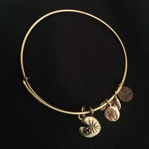 Alex & Ani bracelet