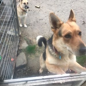 Meet your Posher, Jasmine