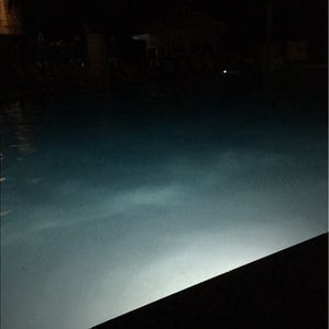 Meet your Posher, Korey