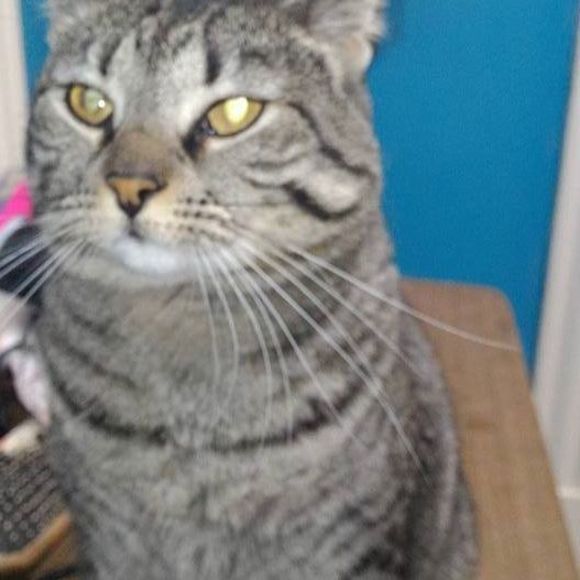 Meet your Posher, Janelle - Picture 1 of 1