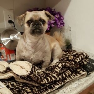 Meet your Posher, Charleen