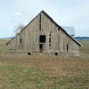 Meet your Posher, Joan