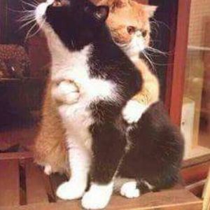 Meet your Posher, Dana