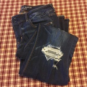 American Eagle Artist 12XL