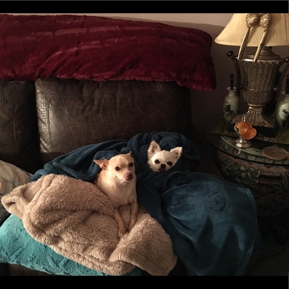 Meet your Posher, Babs - Picture 2 of 2