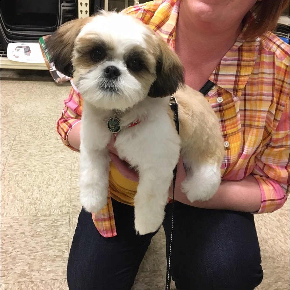 Meet your Posher, Carrie