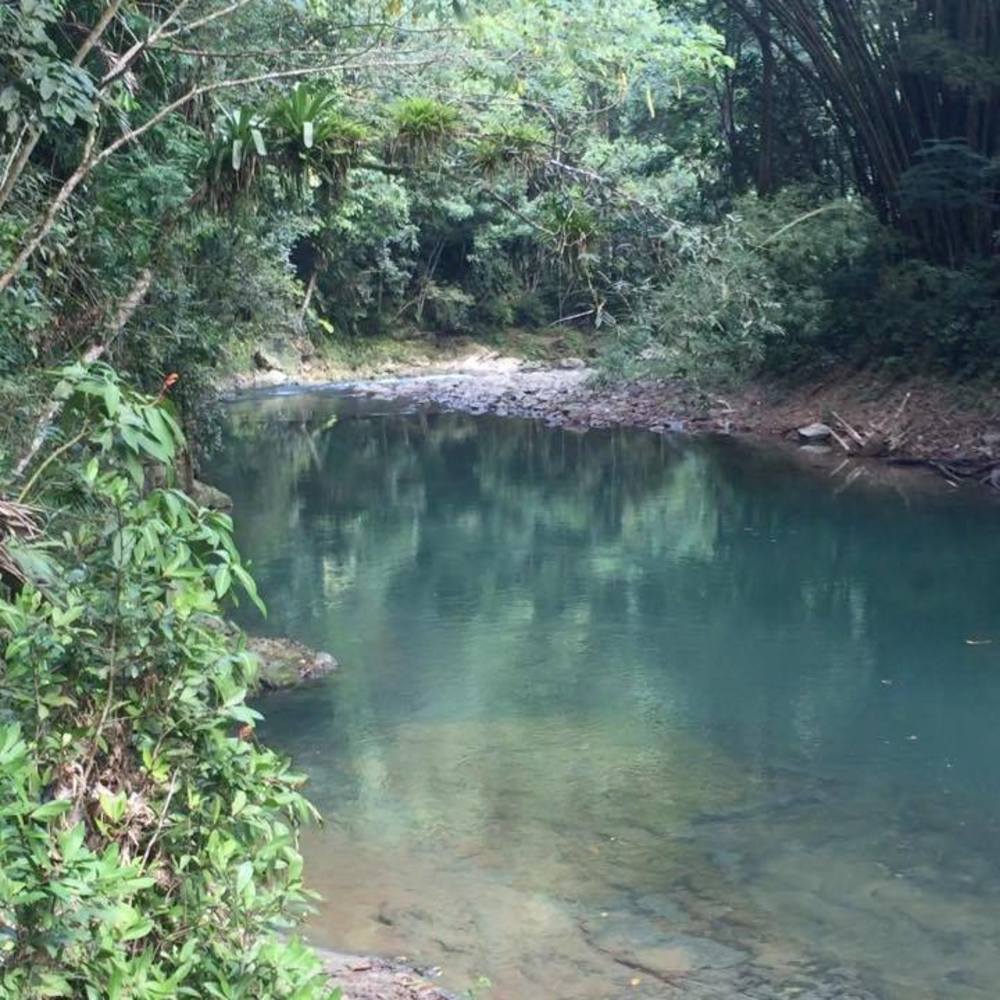 Meet your Posher, Angelique