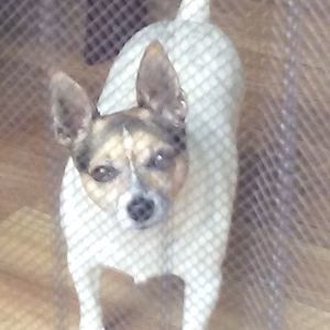 Meet your Posher, Patricia