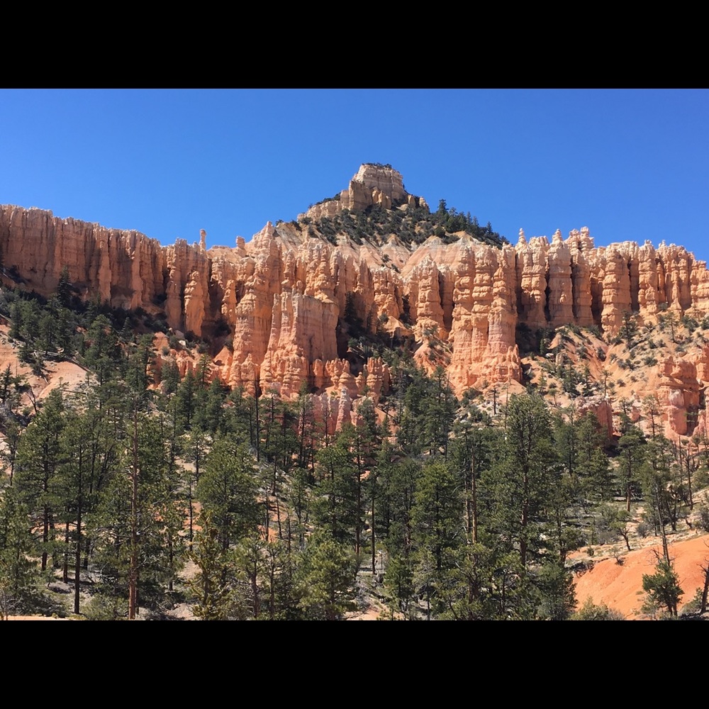 Meet your Posher, Missy