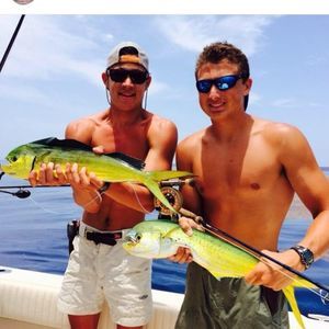 Meet your Posher, Matt