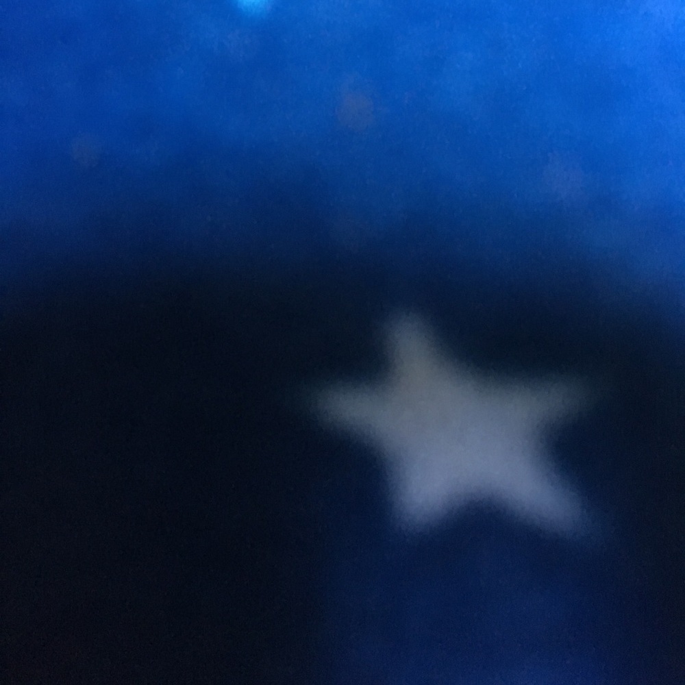 Meet your Posher, Adely