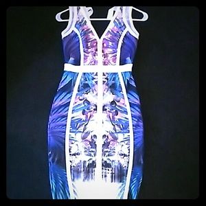 Fitted Dress Trl clothing Line