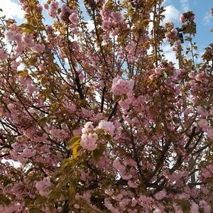 Meet your Posher, Yolanda