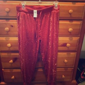 Aerie velour sweatpants