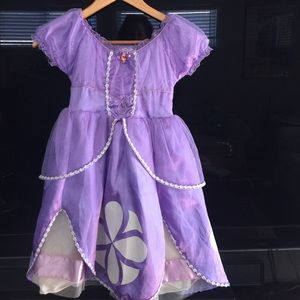 Princess Sofia the First Dress