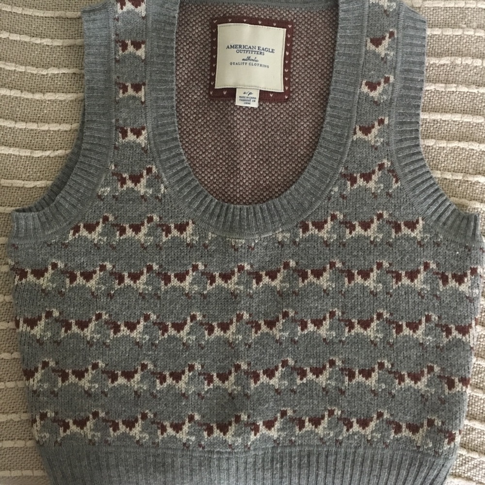 American Eagle Sweater Vest - Picture 2 of 5