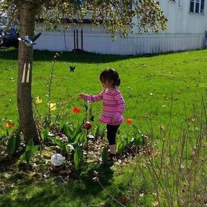 Meet your Posher, Shelby