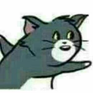 Meet your Posher, Ding