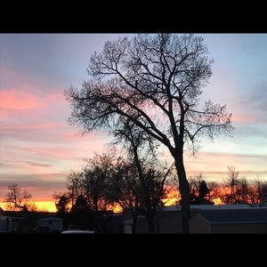 Meet your Posher, Rita