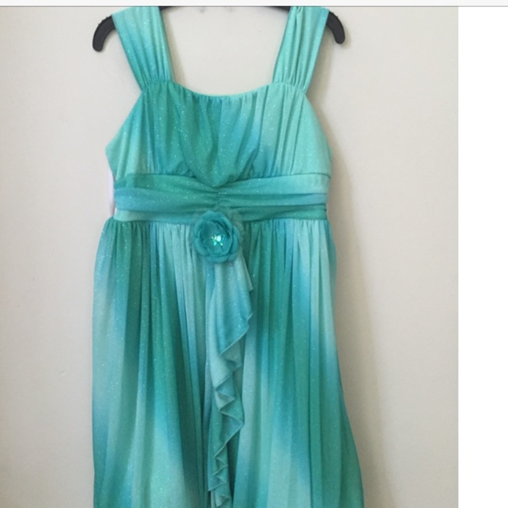 Girls Dress Size 16