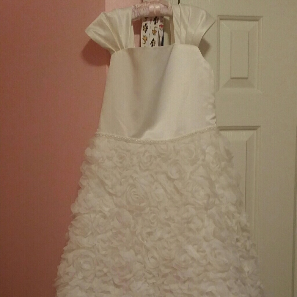 Gorgeous Flower girl or Communion Dress NWOT