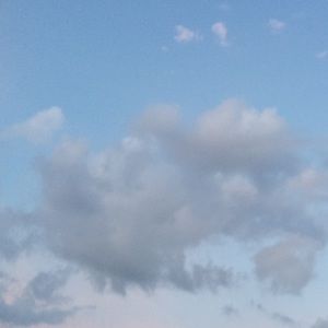 Meet your Posher, Bryn