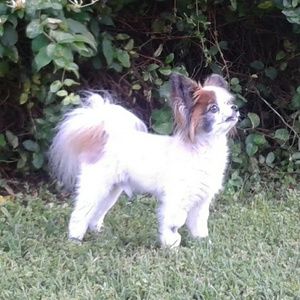 Meet your Posher, Darlene