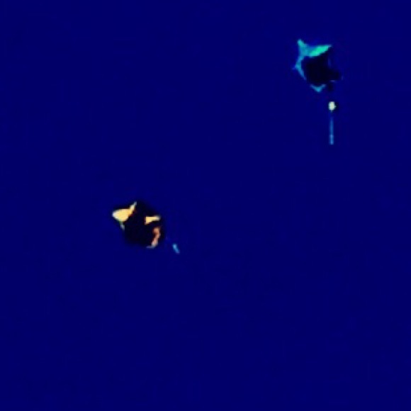 Meet your Posher, Caleb - Picture 1 of 1