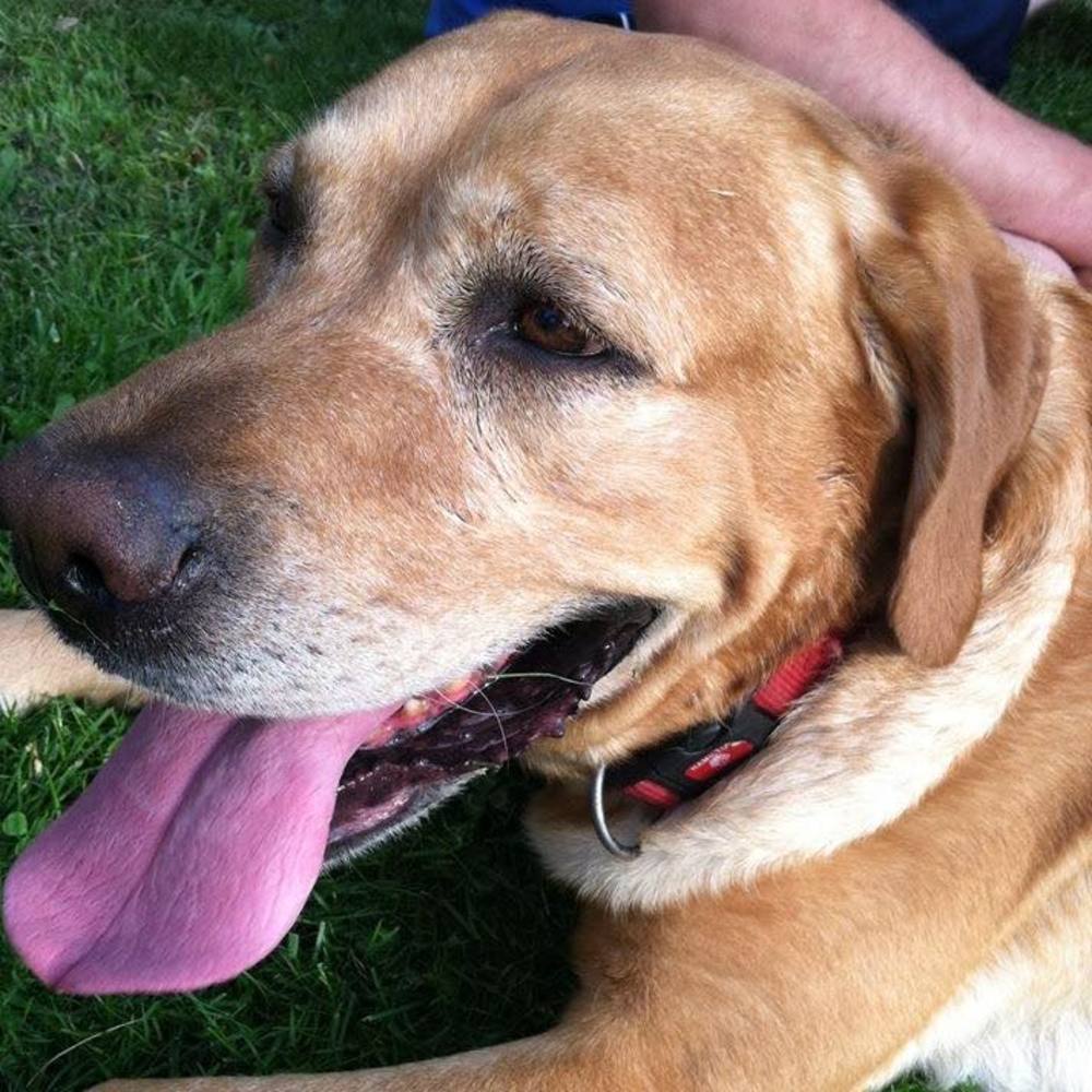 Meet your Posher, Kerri