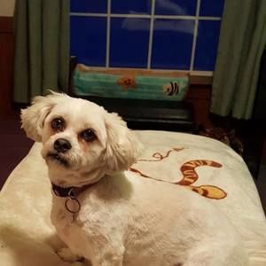 Meet your Posher, Ellen