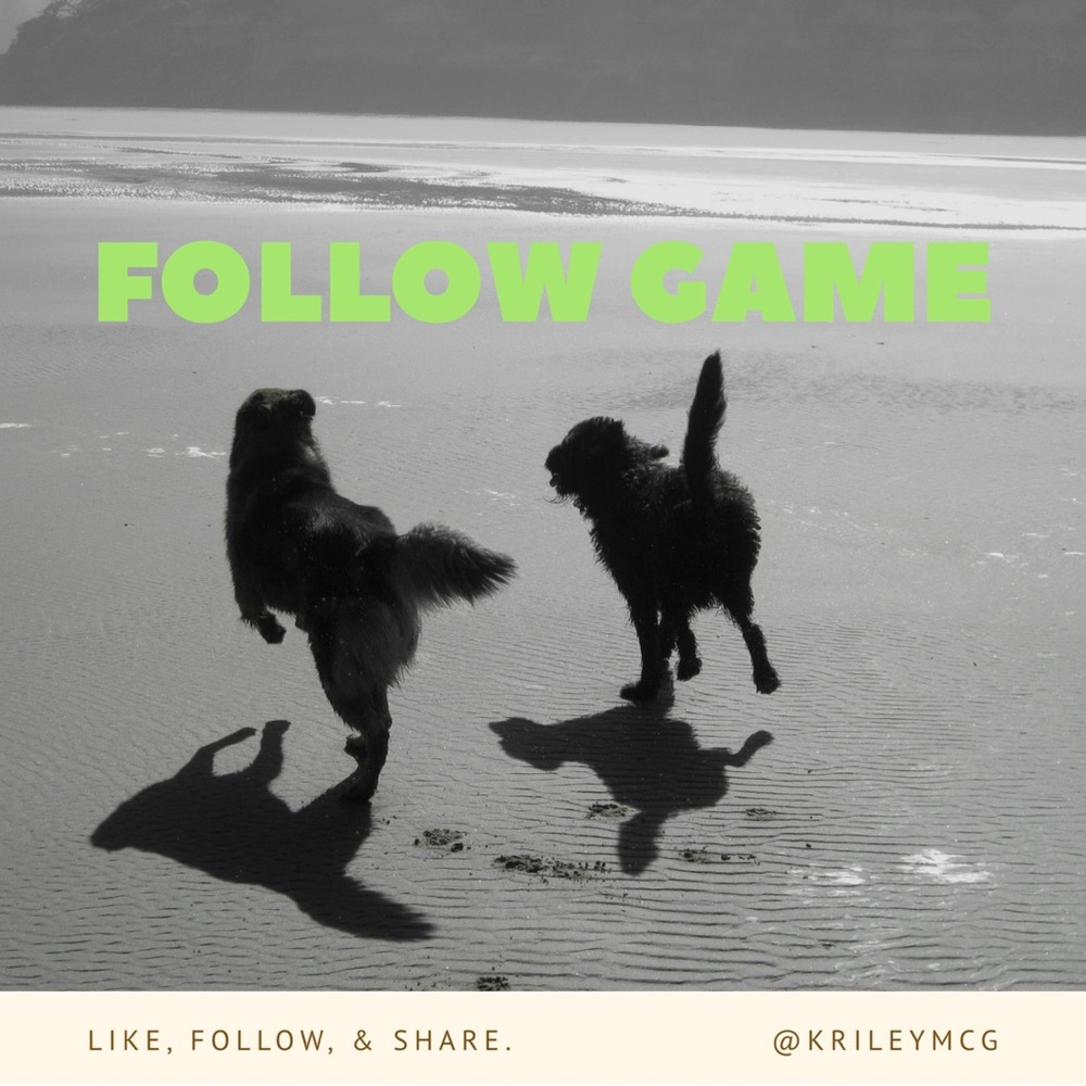 Follow Game! Come back and follow new people!