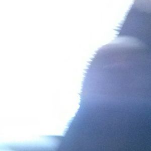 Meet your Posher, Marlo