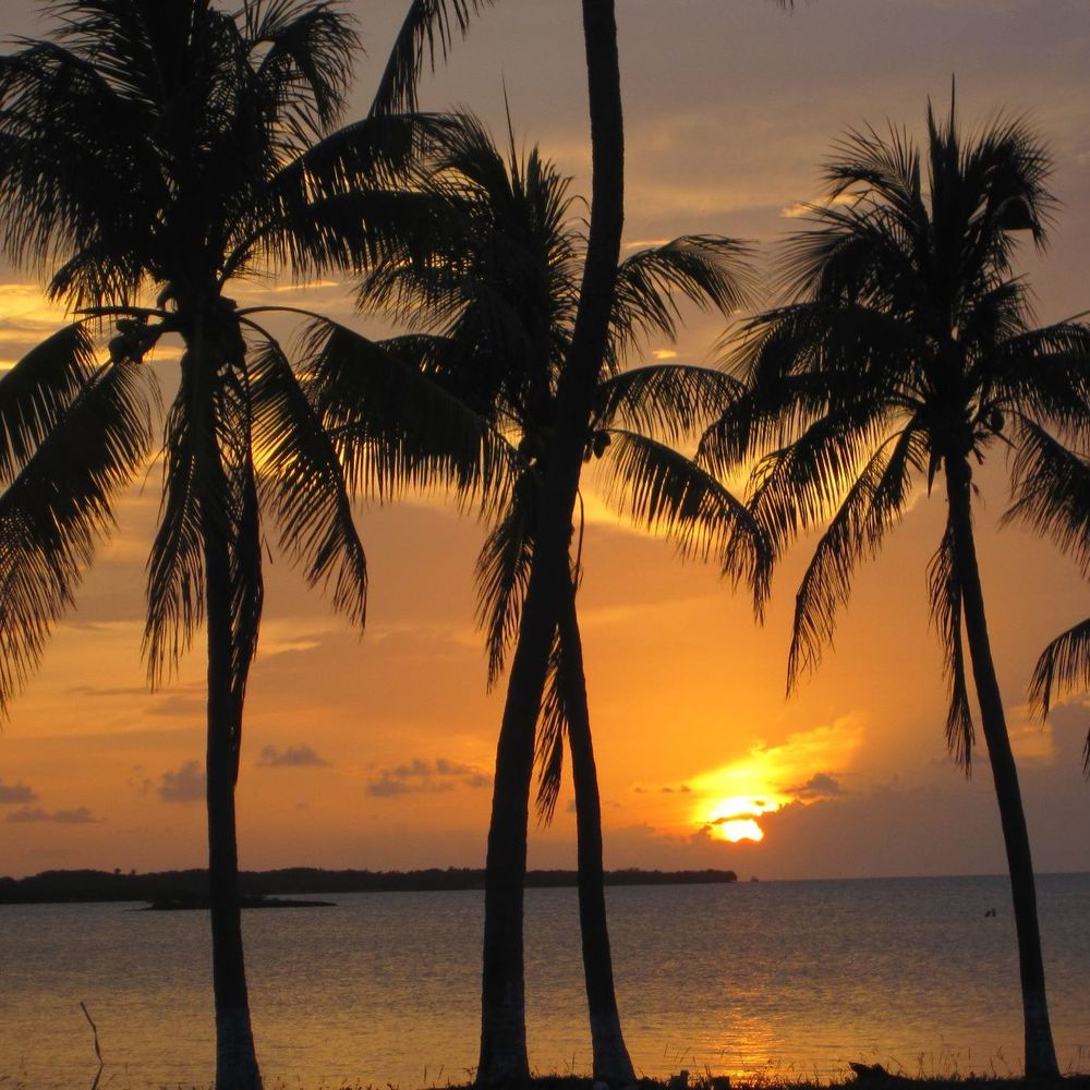 Meet your Posher, Shawn