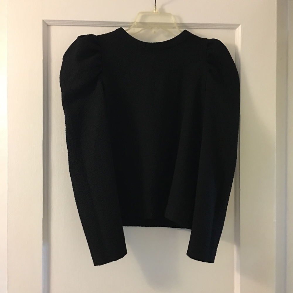 Zara puffy sleeve top
