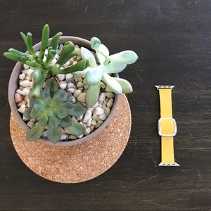 38mm Apple Watch Yellow Modern Buckle (Small)