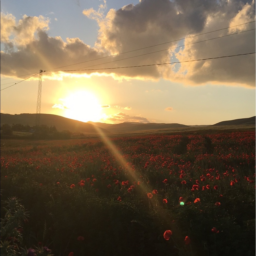 Meet your Posher, Ameni