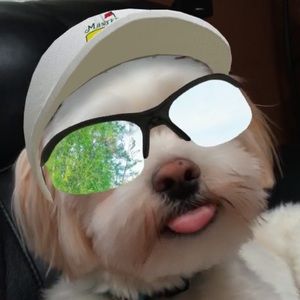 Meet your Posher, Deine