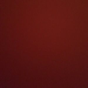 Meet your Posher, Raquel