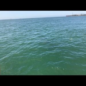 Meet your Posher, Brittani