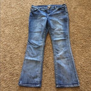 Maurice's Boot Cut Blue Jeans