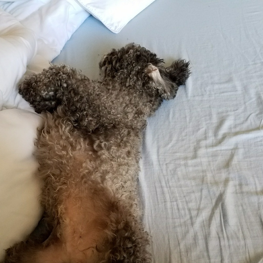 Meet your Posher, Bettina