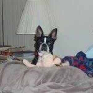 Meet your Posher, Marie