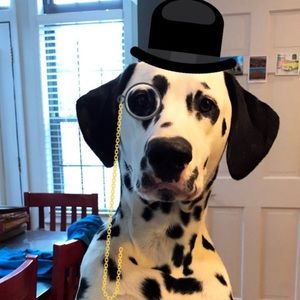 Meet your Posher, Casey