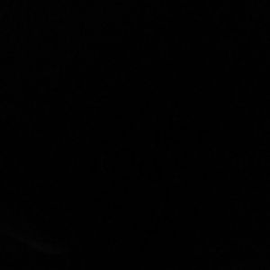 Meet your Posher, Daron