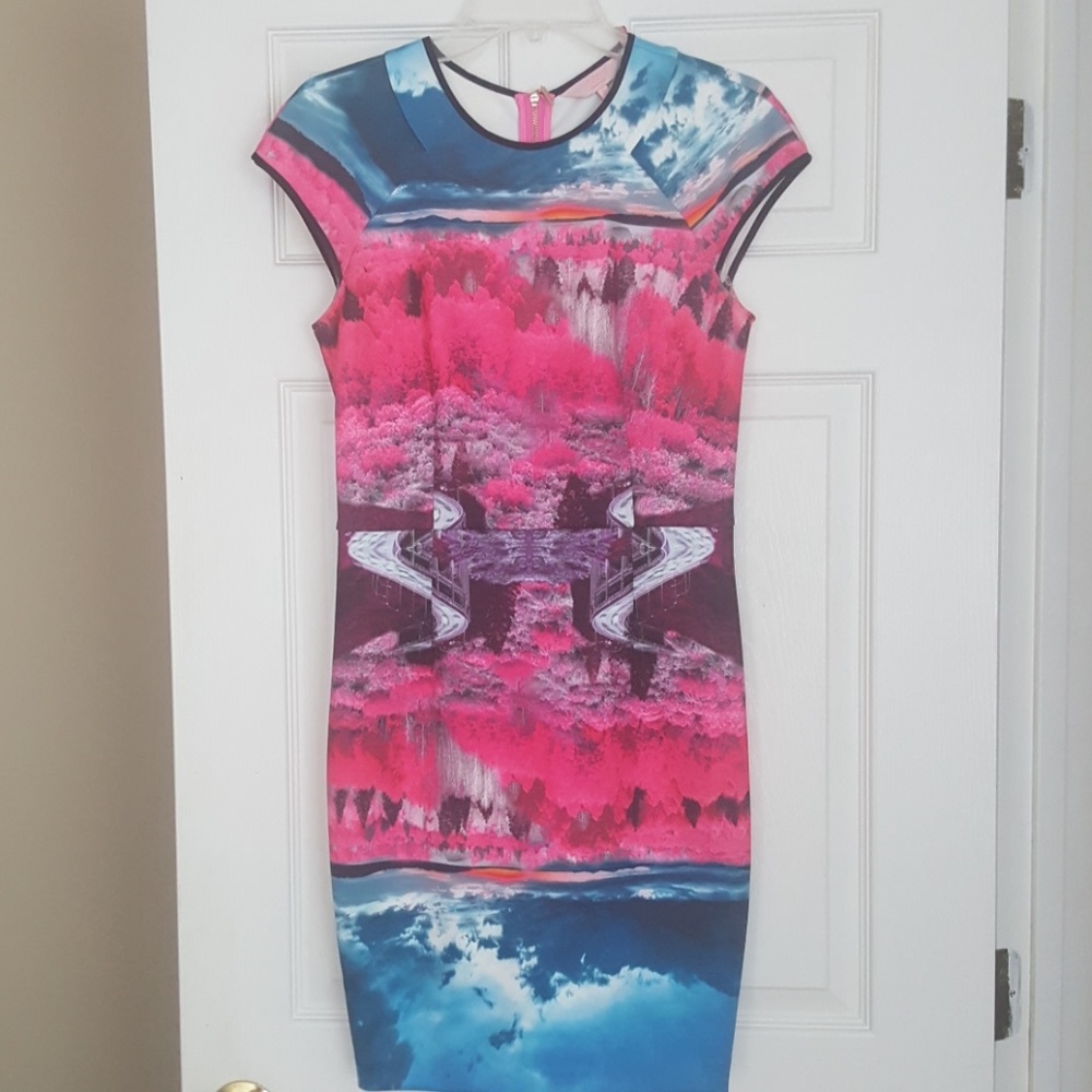 Ted Baker Dress