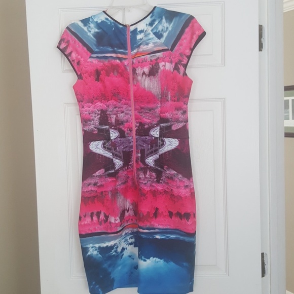 Ted Baker Dress - Picture 2 of 5