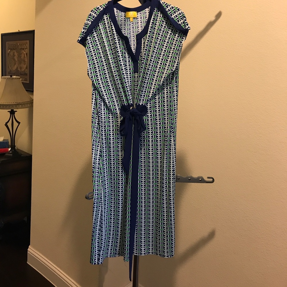Bright Liz Lange Dress